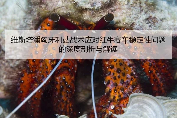 wei-si-ta-pan-xiong-ya-li-zhan-zhan-shu-ying-dui-hong-niu-sai-che-wen-ding-xing-wen-ti-de-shen-du-pou-xi-yu-jie-du-3-370.jpg
